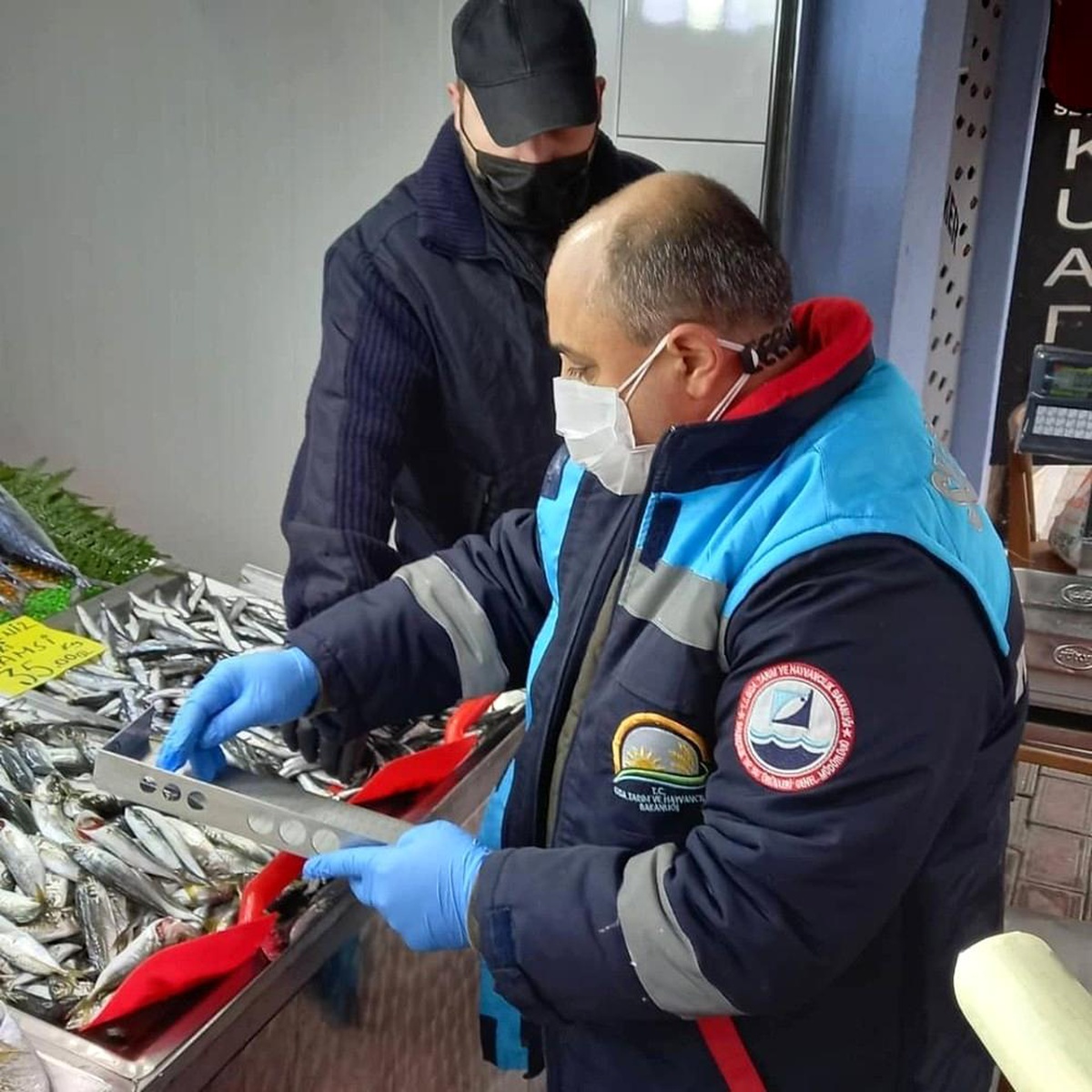 Kırklareli\'nde tezgahlardaki balık boyları denetlendi