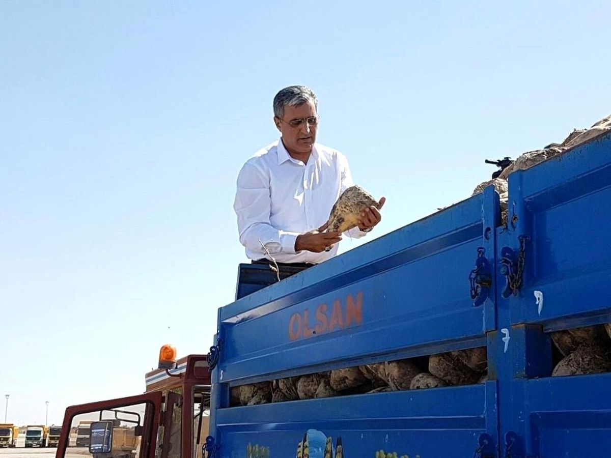 Konya Şeker pancar üreticisine 1,4 milyar TL\'lik pancar bedeli ödedi