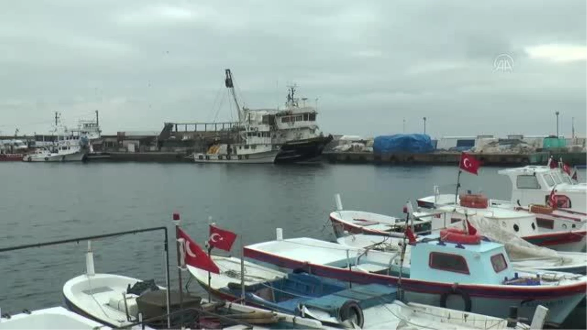 Marmara\'daki "deniz salyası" tezgahlardaki balık fiyatlarını yükseltiyor