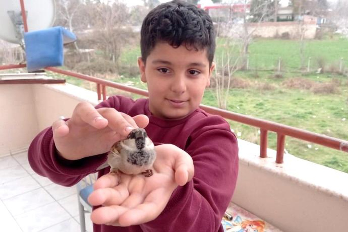 Soğuktan üşüyen minik Serçe, Ömer\'in avuçlarında ısındı