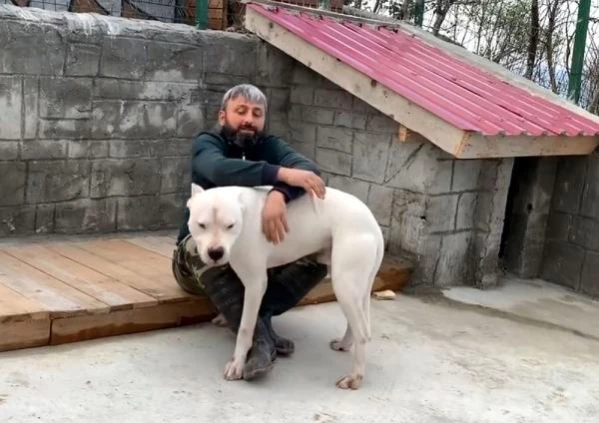 Trabzon'da hayvanseverlere eğitim