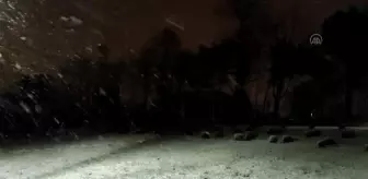 Kar yağışı etkili oluyor