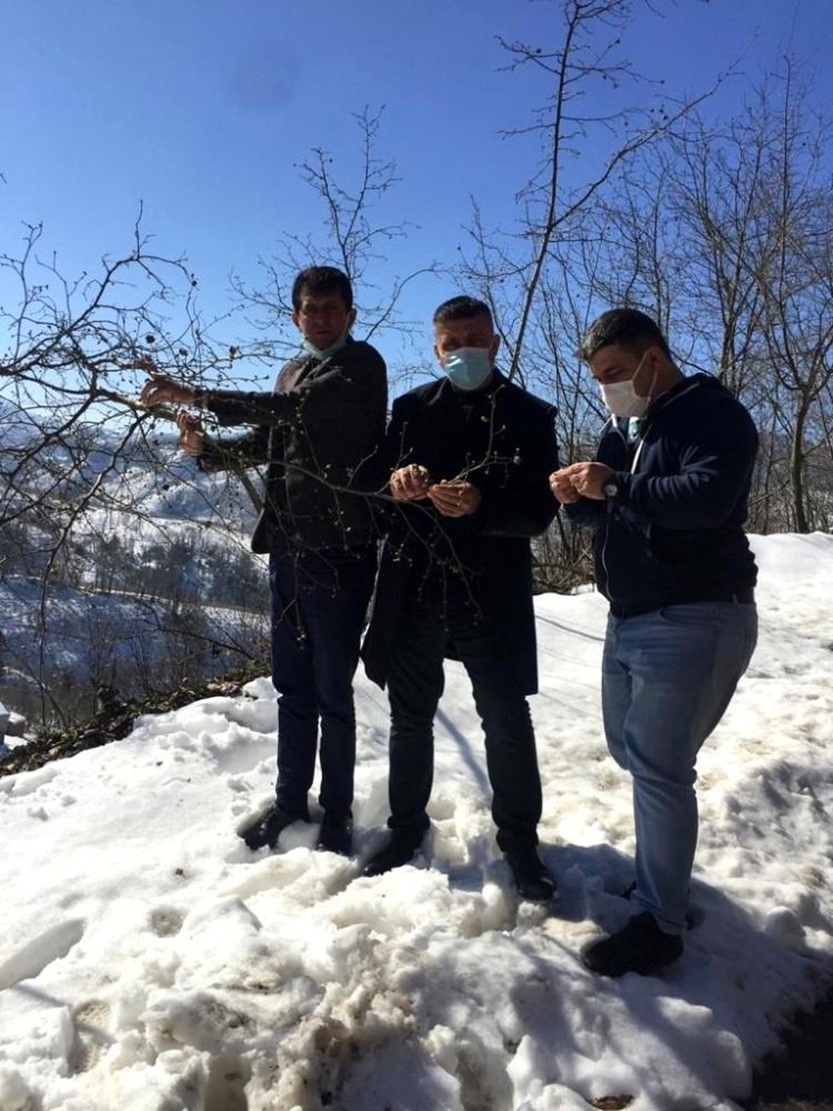 Çiftçinin korkusu zirai don gerçekleşti