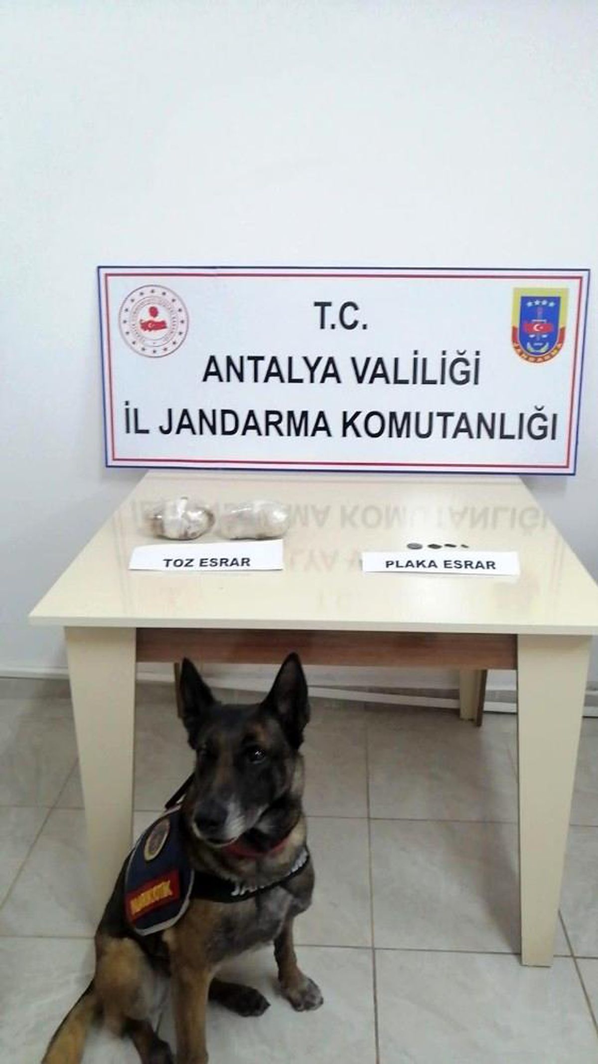 Çivi\'nin tepki verdiği koltuktan uyuşturucu çıktı