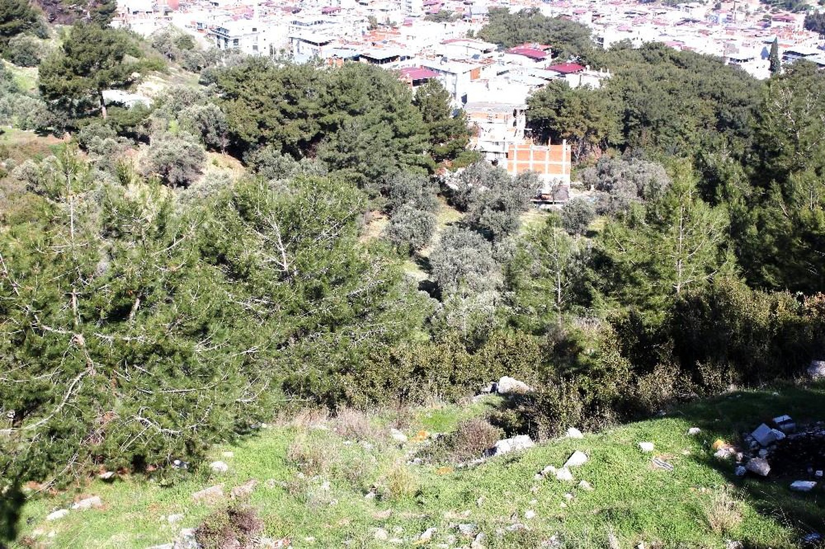 İzmir\'de ormanlık alanda kafatası ve kemik parçaları bulundu