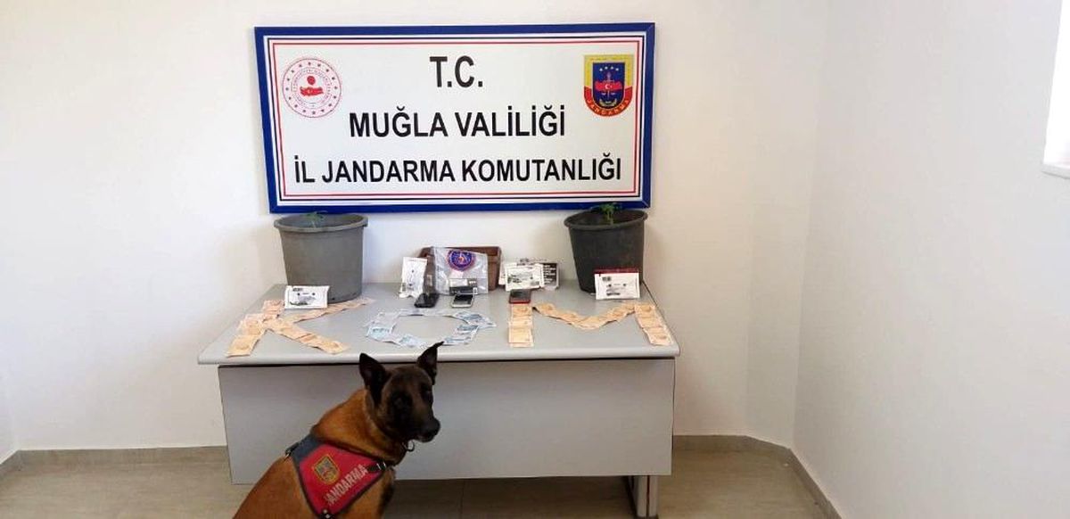 Köyceğiz\'de uyuşturucu operasyonu