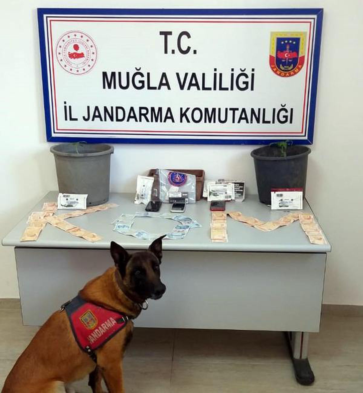 Muğla\'da torbacı operasyonu: 4 gözaltı