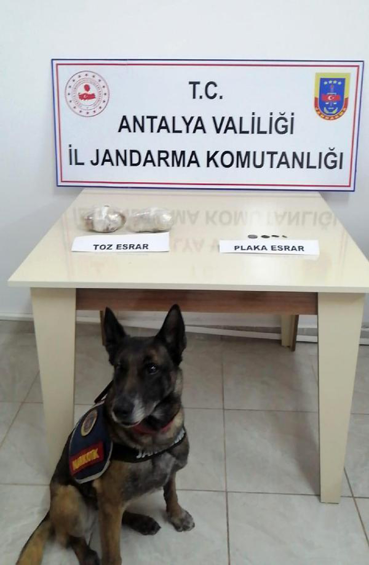 Narkotik köpeği Çivi tepki verdi, iç çamaşırından 1 kilo uyuşturucu çıktı