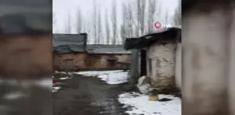 Öz babasını boğazını keserek öldürdü