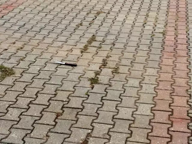 Tır sürücüsü randevulaştığı iki kişi tarafından boğazı kesilerek öldürüldü Tır sürücüsü randevulaştığı iki kişi tarafından boğazı kesilerek öldürüldü