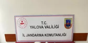 Yalova'da uyuşturucu operasyonu: 5 gözaltı