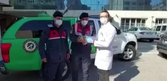 Yaralı atmaca tedavi altına alındı