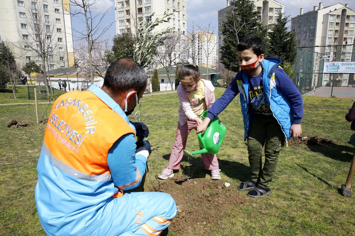 Son dakika haberi! Başakşehir\'de fidanlar çocuklarla birlikte büyüyor