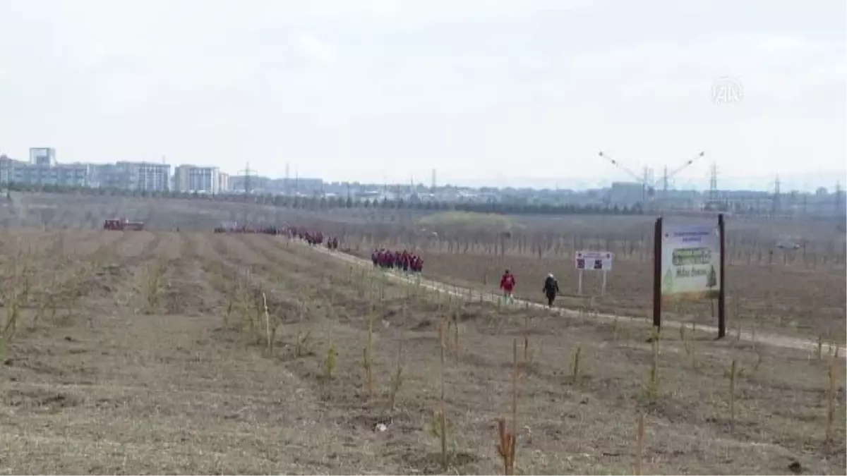 Genç Kızılay tarafından Başkentte hatıra ormanı oluşturuldu