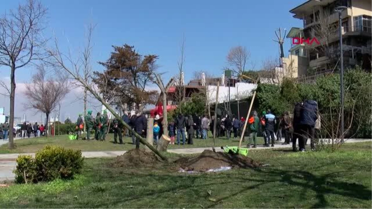İSTANBUL-Üsküdar\'da izinsiz kesilen ağaçların yerine yenisini \'çınarlar\' dikti