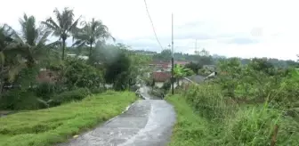 BATI JAVA - Sokak köpekleri için evini barınağa çevirdi