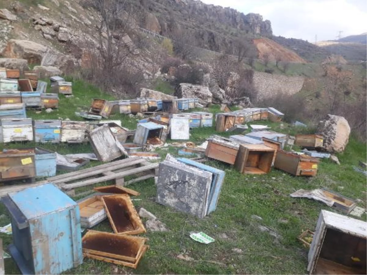 Hakkari\'de kış uykusunda uyanan ayılar, 150 kovana zarar verdi