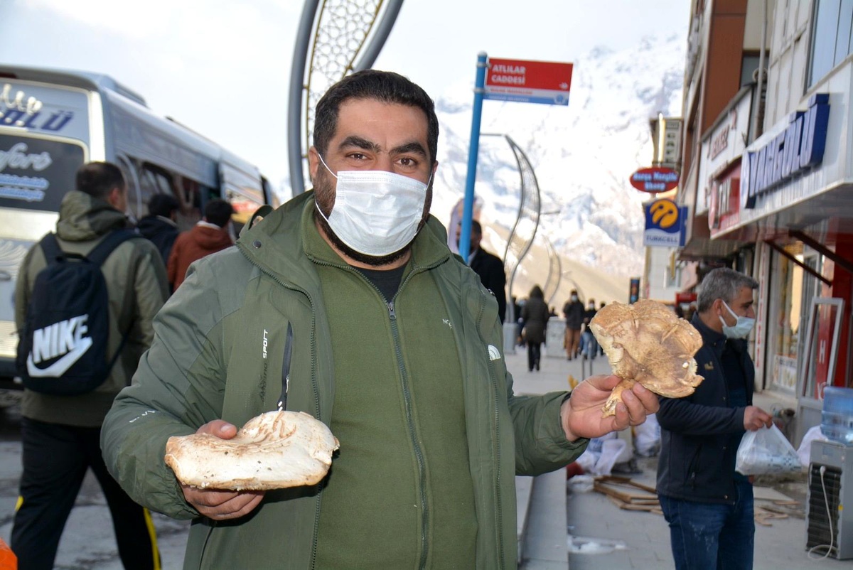 Hakkari\'de yılın ilk mantarı piyasaya çıktı