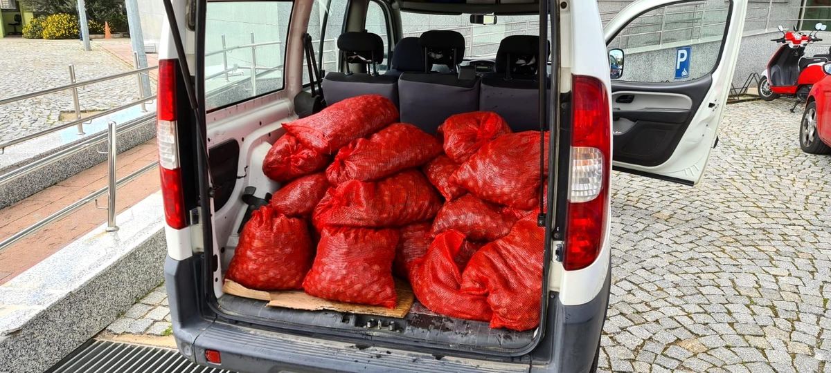 İzmir\'de kaçak yollarla avlanan 400 kilogram midye denize bırakıldı