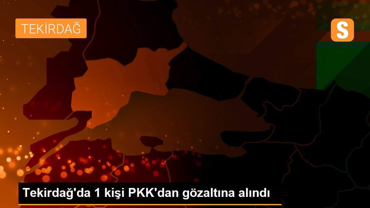 Tekirdağ\'da 1 kişi PKK\'dan gözaltına alındı