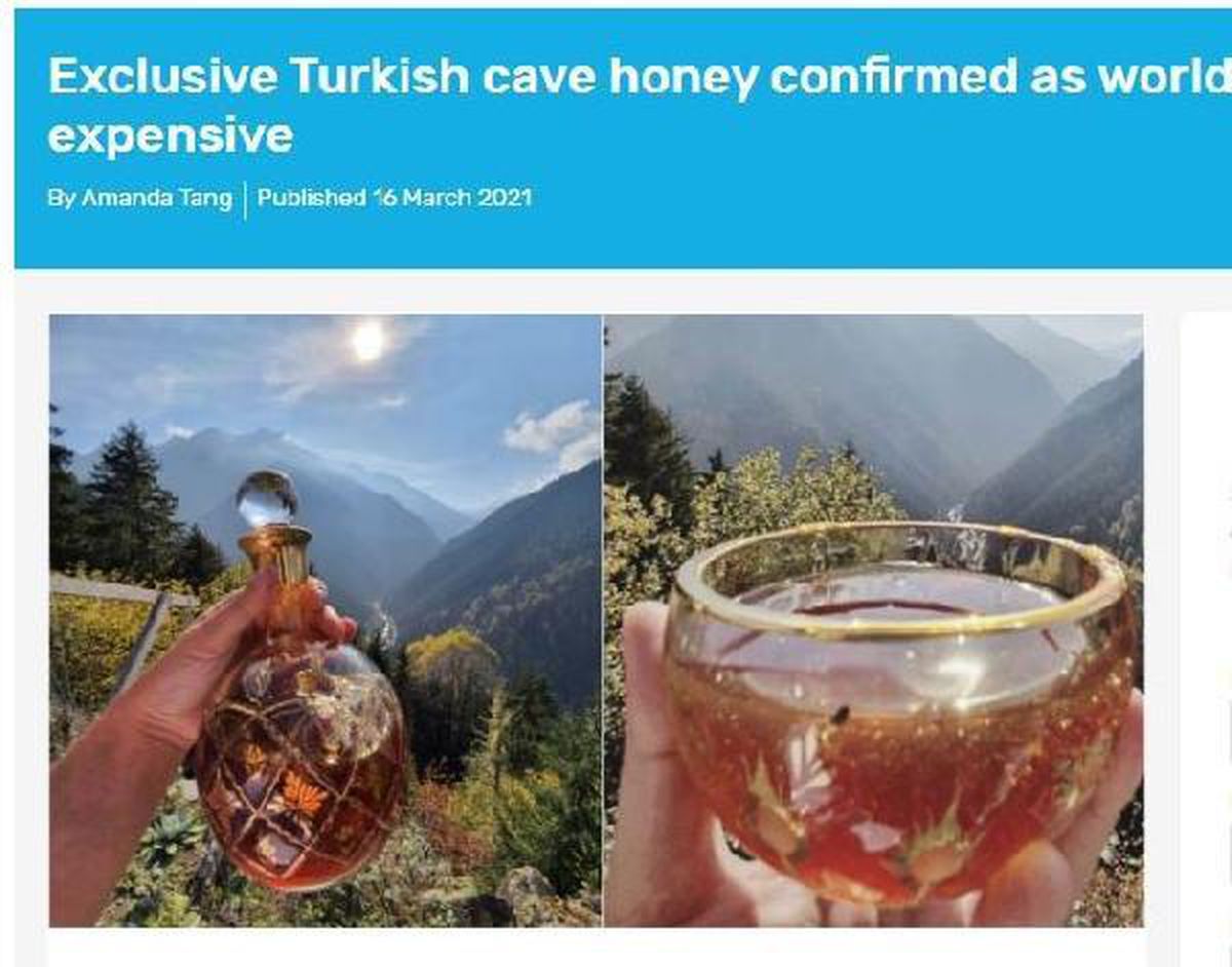 Türkiye\'de mağarada toplanan kantaron balı Guinness Rekorlar Kitabı\'na girdi