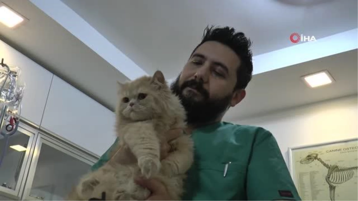 Veteriner hekim Mustafa Sayın: "Rutin kontrolleri yapılan evcil hayvandan insana hastalık bulaşmaz"