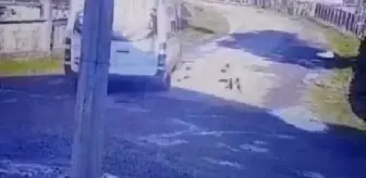 Yolda yatan köpeği üzerinden geçerek yaralayan sürücüye para cezası