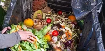 BM'nin raporu Türkiye'deki israfın boyutunu gözler önüne serdi: Çöpe giden gıdalarla 840 milyon insan doyar