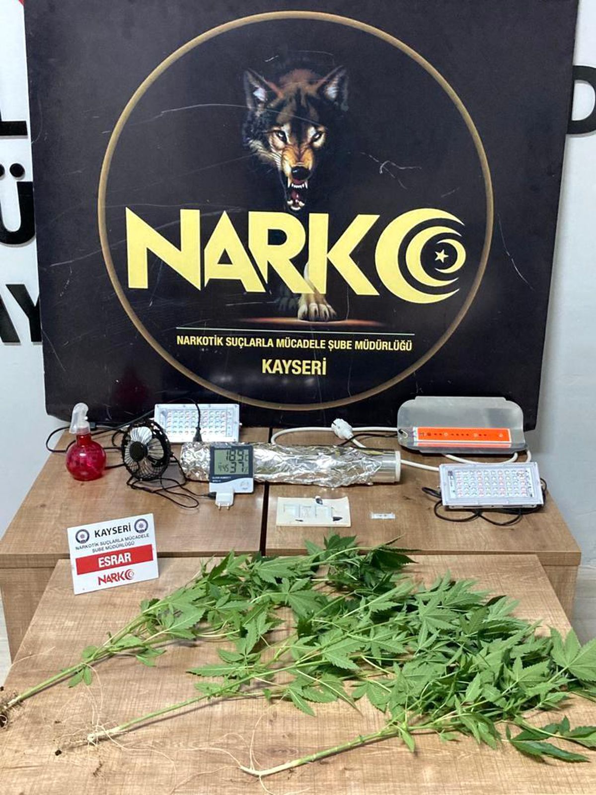 Evine kurduğu özel düzenek ile Hint keneviri yetiştiren şahıs gözaltına alındı
