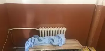 İran sınırında 90 güvercin ve 7 bin 632 kaçak sigara ele geçirildi