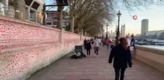 Londra'da Covid-19 kurbanlarının anısına yaklaşık 150 bin kalp çizilecek