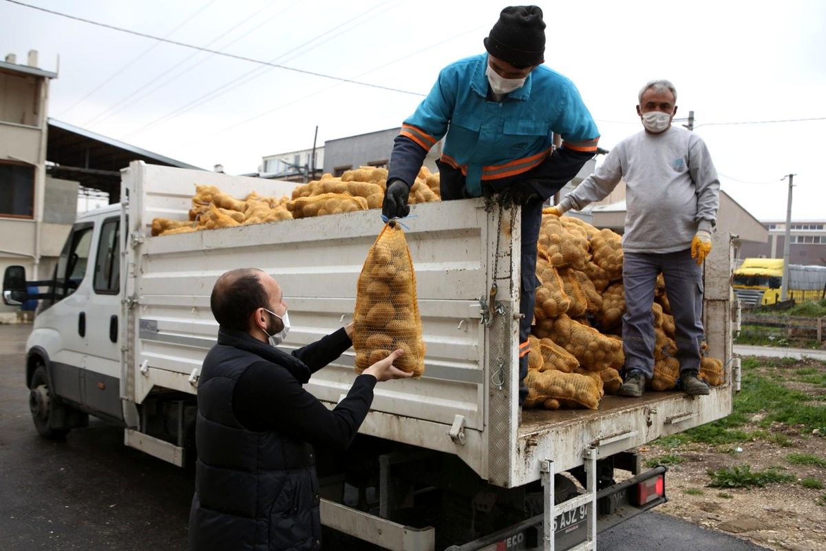 Nilüfer Belediyesi\'nden patates üreticisine destek