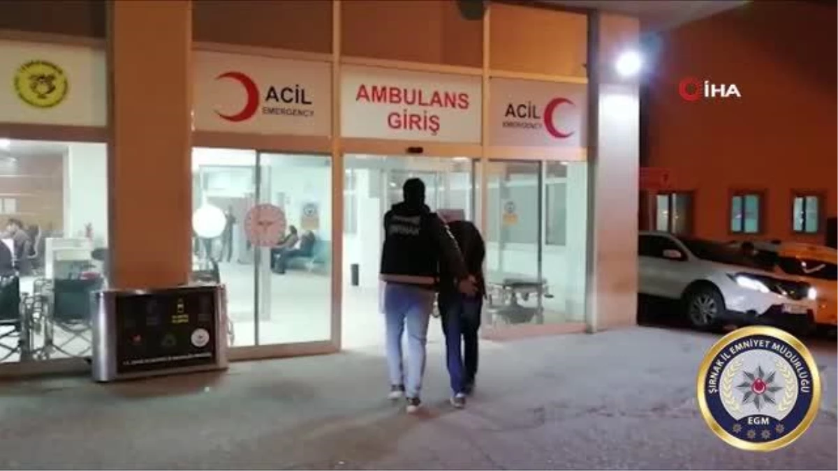 Son dakika haberleri! - Şırnak\'ta kaçakçılık operasyonu: 54 kişi gözaltına alındı