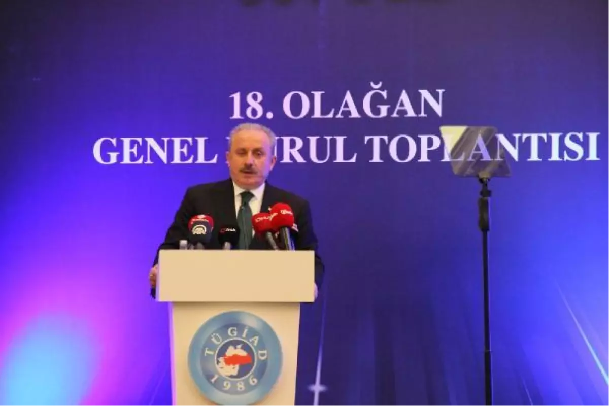 TBMM BAŞKANI ŞENTOP: SALGIN SÜRECİNDE TÜRKİYE\'NİN ÖNEMİ DAHA DA ARTTI