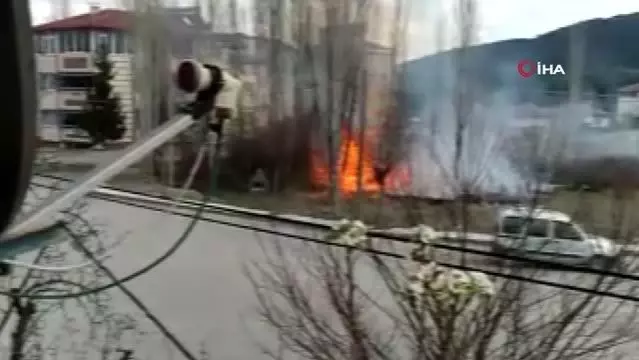 Yanginda Ayaklari Yanan Kaplumbaga Yeniden Hayata Tutundu Son Dakika