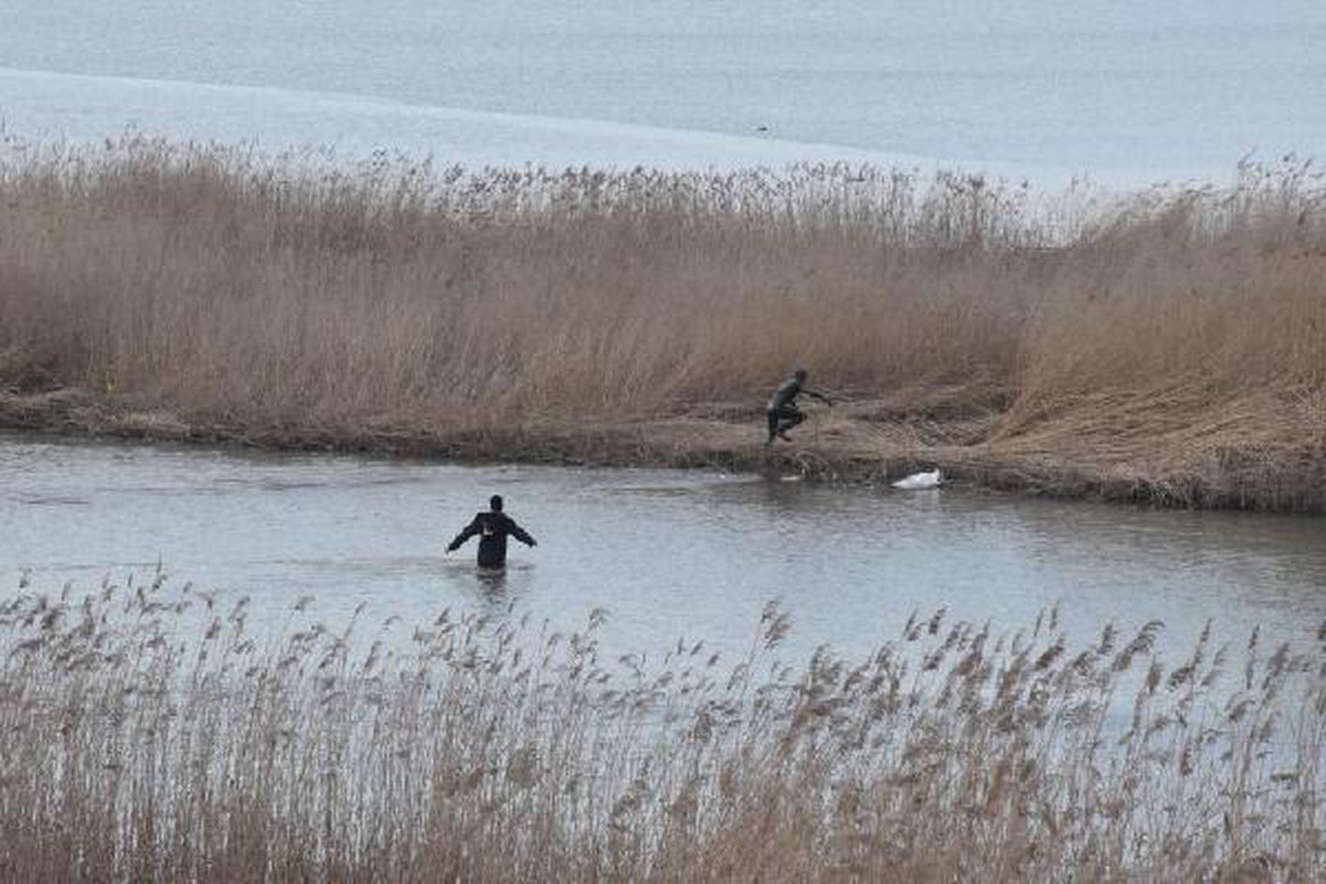 Son dakika haberleri: 4 kaçak midye avcısı yakalandı