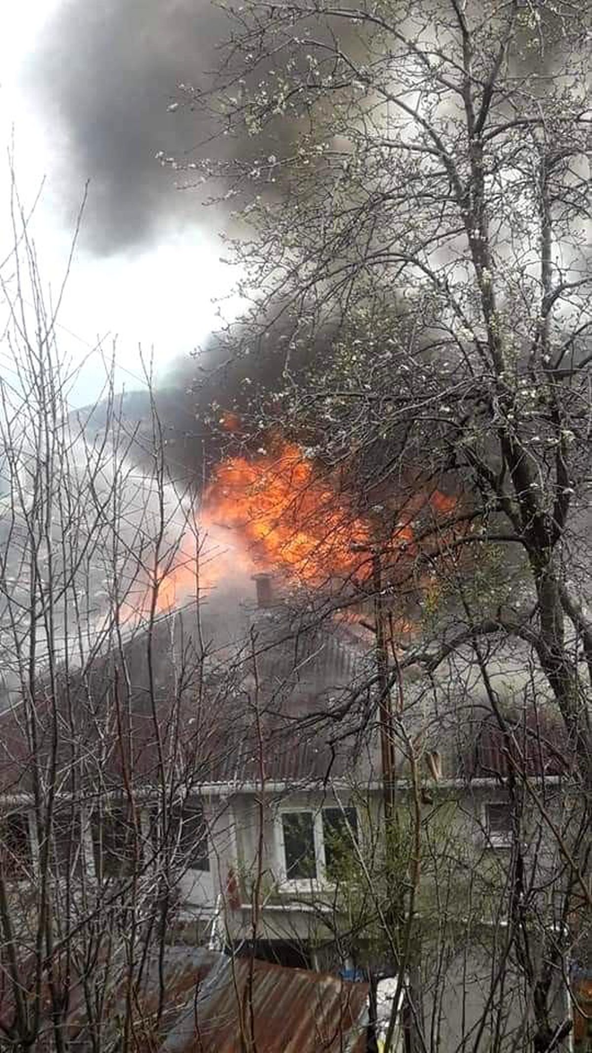 Çıkan yangın paniğe neden oldu.