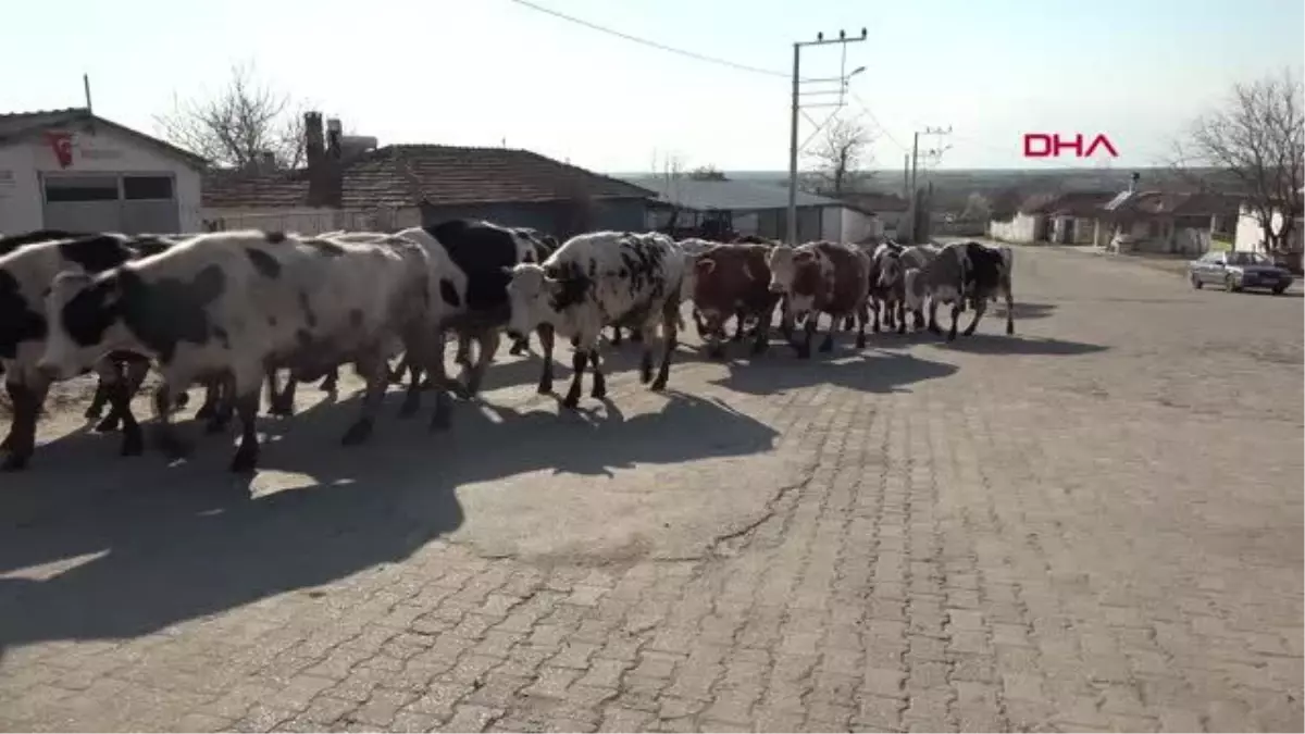 EDİRNE Edirne\'de 1 köy karantinaya alındı, 3 okulda eğitime ara verildi