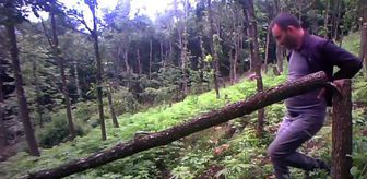 Devlet arazisinde uyuşturucu yetiştiren 4 kişi fotokapana yakalandı