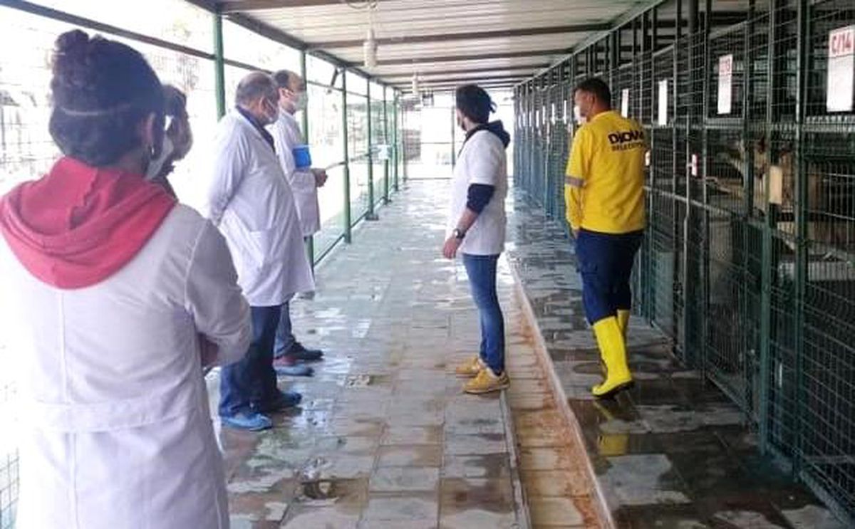 Hayvan Bakım Evleri denetlendi