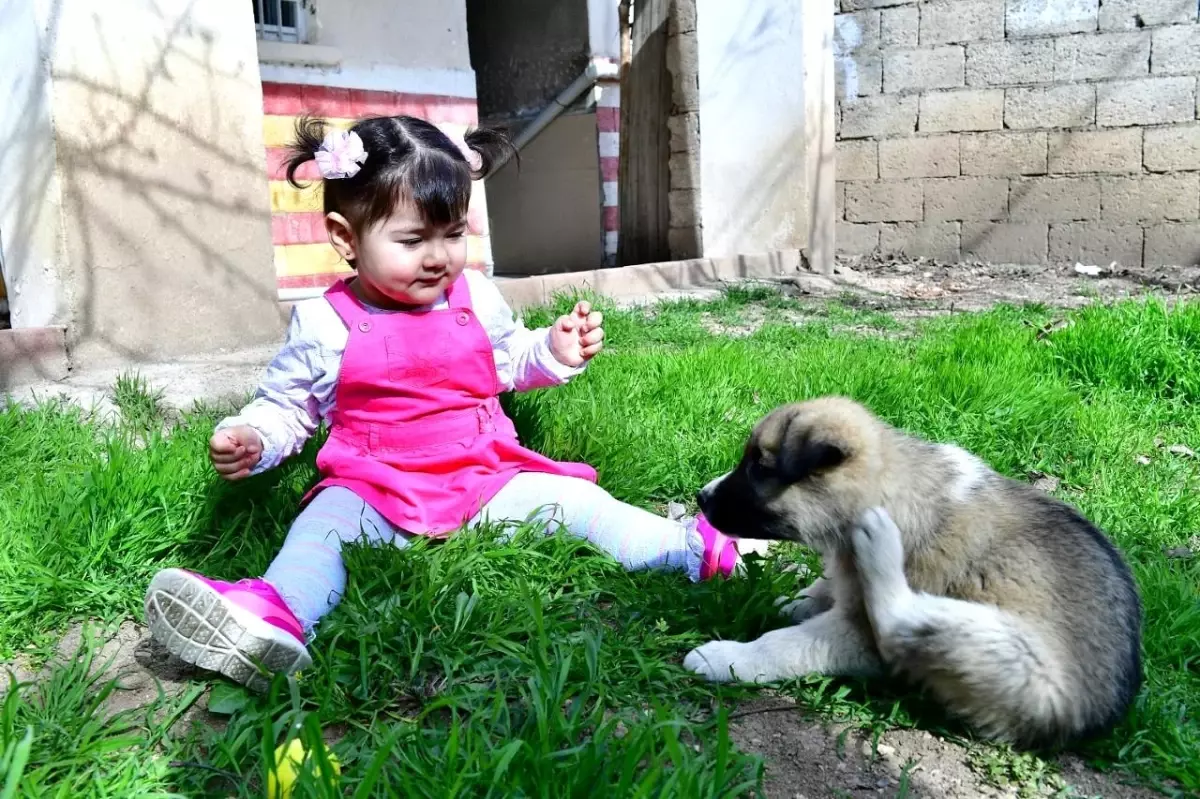 Minik Nisa\'ya köpek hediyesi