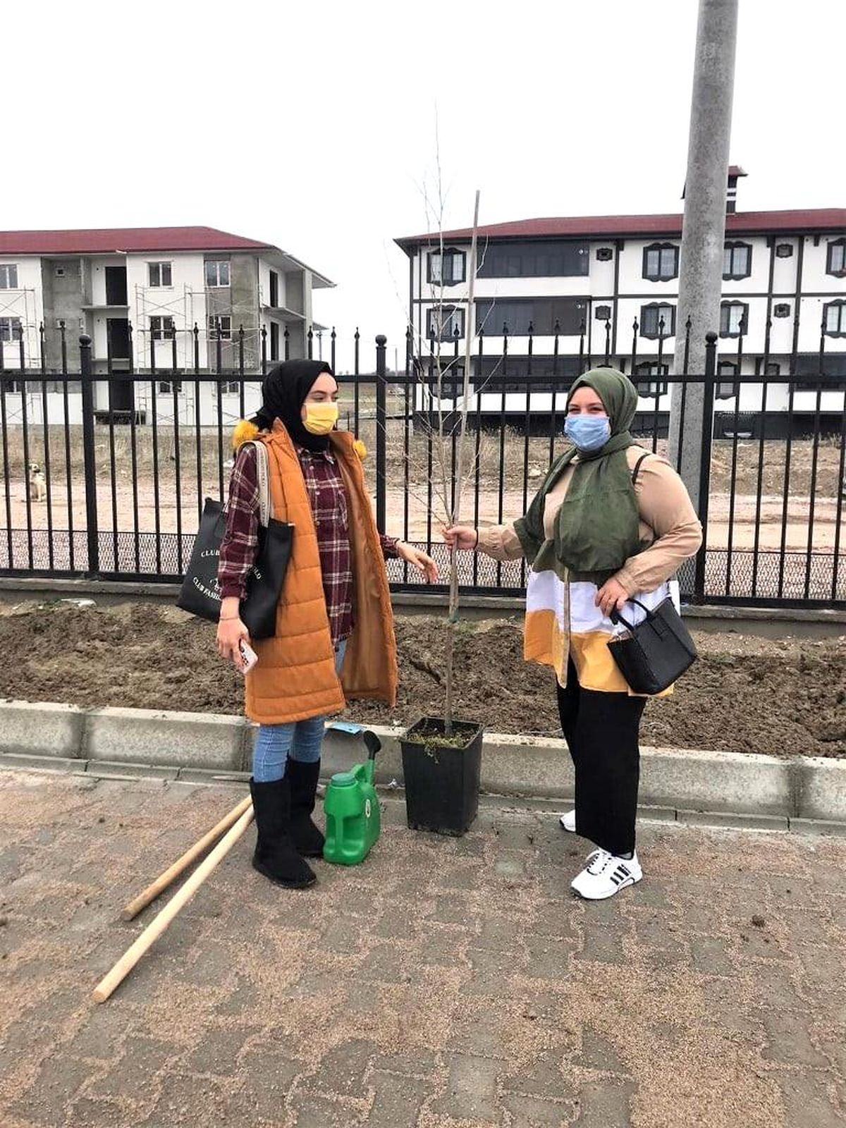 Okul bahçesi ağaçlandırıldı