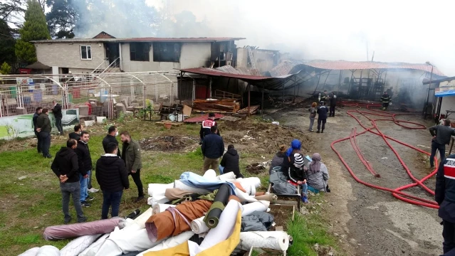 Son dakika: Ordu'daki yangını söndürme çalışmaları sürüyor