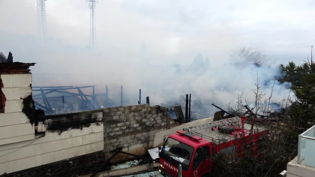 Son dakika: Ordu'daki yangını söndürme çalışmaları sürüyor