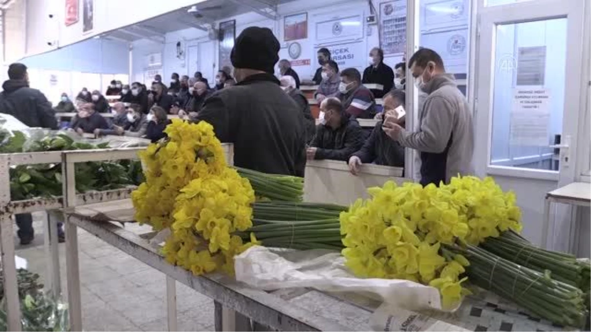 Özgün kokusuyla talep gören İzmir nergisi için coğrafi işaret çalışması yapılacak