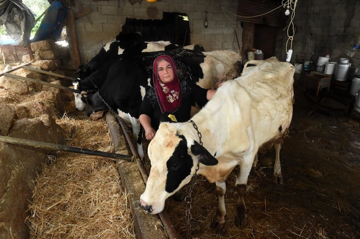 Tarsus Belediyesi, Halk Market ile küçük üreticiye destek veriyor