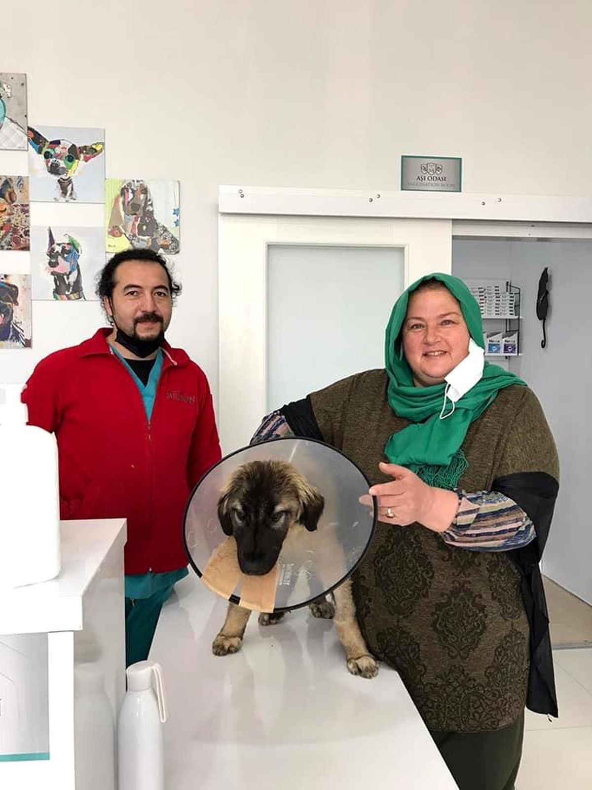 Traktörün çarptığı köpeğin ameliyat masraflarını sigorta şirketi karşıladı