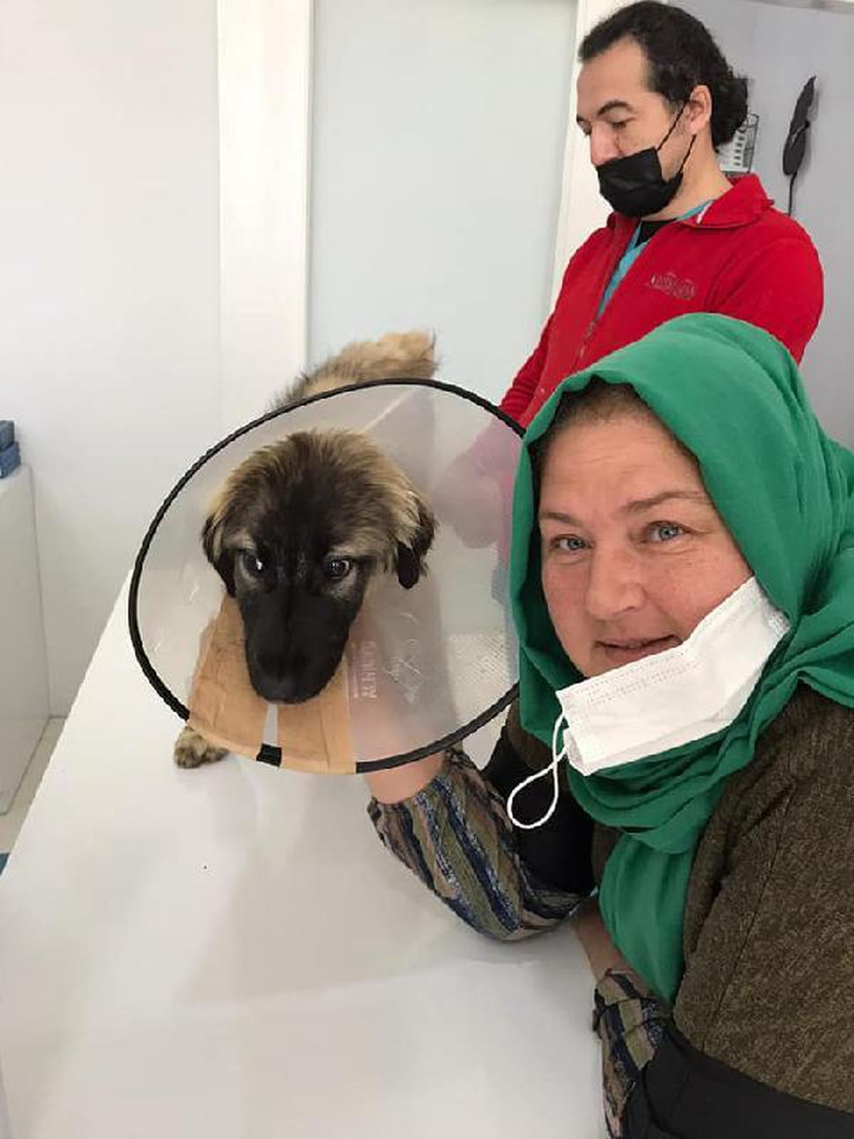 Traktörün çarptığı köpeğin tedavi masraflarını sigorta şirketi karşıladı