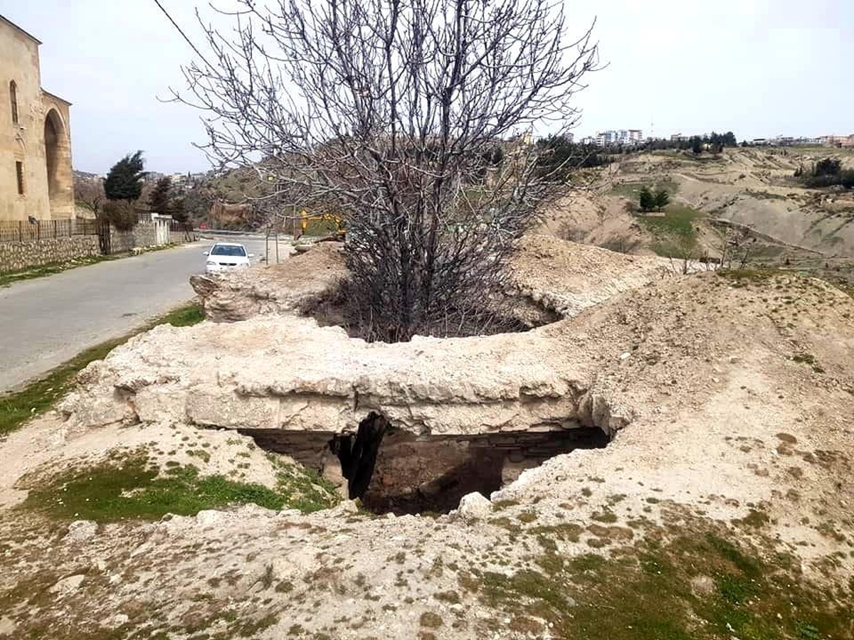 400 yıllık tarihi hamamın içinde incir ağacı