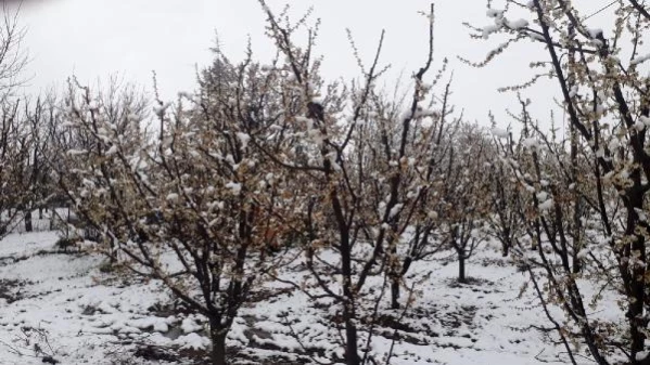 Antalya'nın yüksek kesimlerine kar yağdı